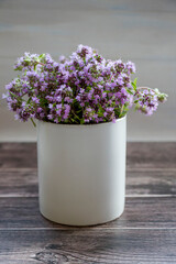 Fresh thyme flowers in a white cup. Fresh organic thyme flowers. Flowers of thyme creeping. Thyme. Phytotherapy. Selective focus.