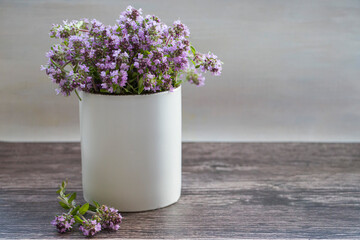 Fresh thyme flowers in a white cup. Fresh organic thyme flowers. Flowers of thyme creeping. Thyme....