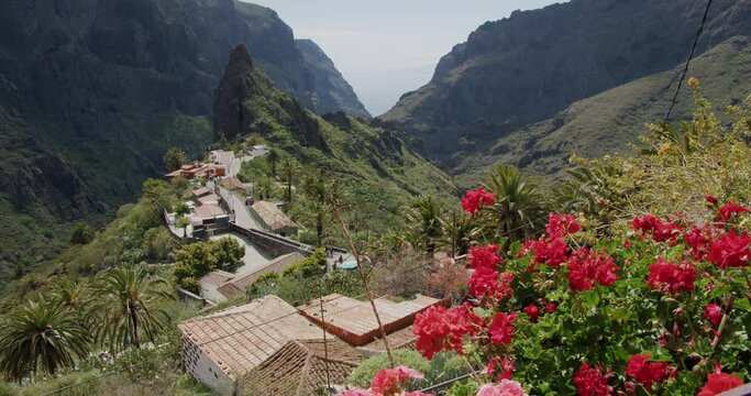 Masca Gorge and village on the island of Tenerife, Canary Islands, Spain. In the foreground red flowers.