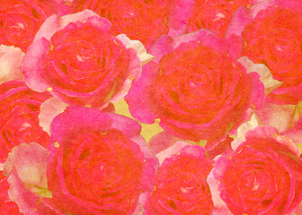 Roses on paper texture