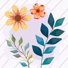 spring flowers in wooden background