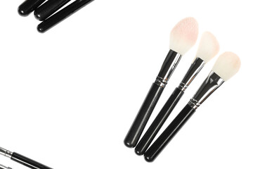 Professional makeup brush made of natural pile on a white background