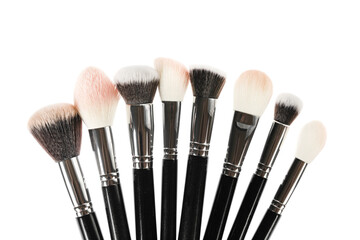 Professional makeup brush made of natural pile on a white background