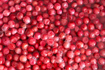 lingonberry in water