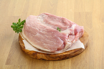 Piece of the raw pork meat