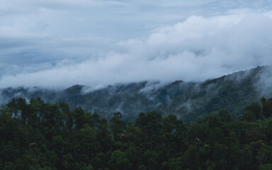 Landscape image of greenery rainforest mountains and hills on foggy day