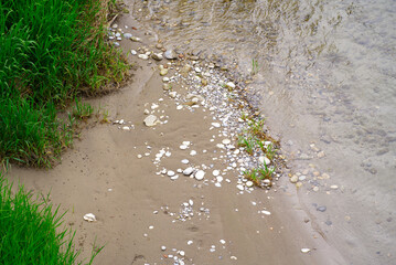 Idyllic landscape at shore of Aare River at City of Brugg with sand, green grass and stones on a cloudy spring day. Photo taken May 6th, 2022, Brugg, Switzerland.