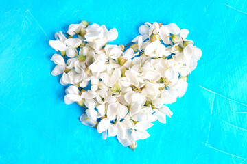 White heart shape made from acacia flowers