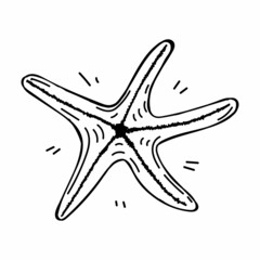 Starfish, hand-drawn in sketch style. Decor element. White background. Isolated. Sea creatures. Summer. Ocean. Flat design. Vector simple illustration.
