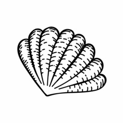Seashell, a hand-drawn sketch style doodle. Decor element. White background. Isolated. Sea creatures. Summer. Ocean. Flat design. Vector simple illustration.
