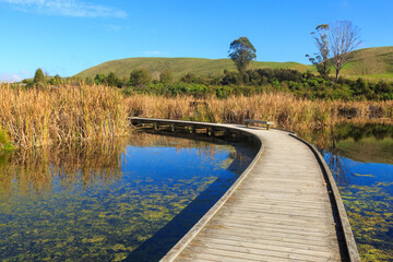 A curving boardwalk over the water in Pekapeka Regional Park, a wetland in the Hawke's Bay region, New Zealand - obrazy, fototapety, plakaty