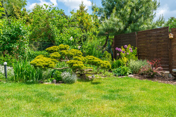 A garden in early summer. Outdoor living space - obrazy, fototapety, plakaty
