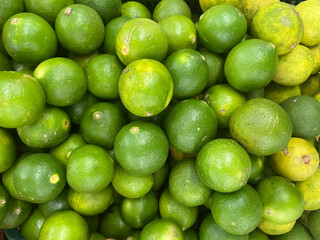 Fresh green lime pile in harvest season
