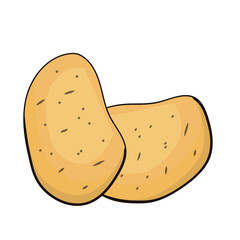 potatovector ,vegetable isolated on white background