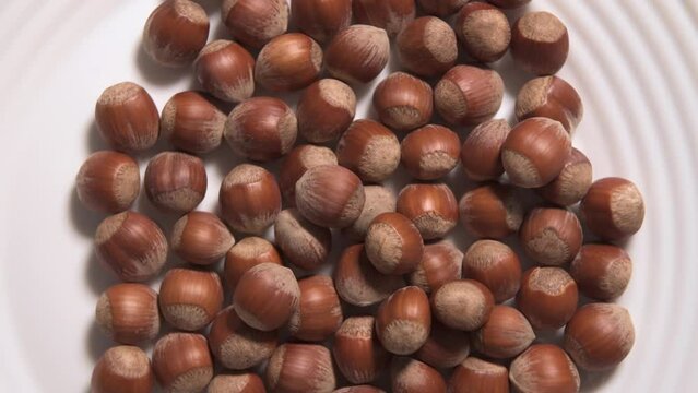 Hazelnuts group background - 4K - stock video