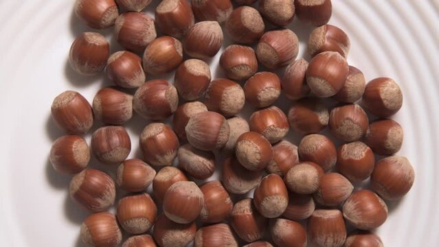 Hazelnuts group background - 4K - stock video