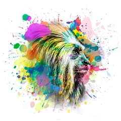 Foto auf Leinwand abstract background with  monkey colorful splashes © reznik_val