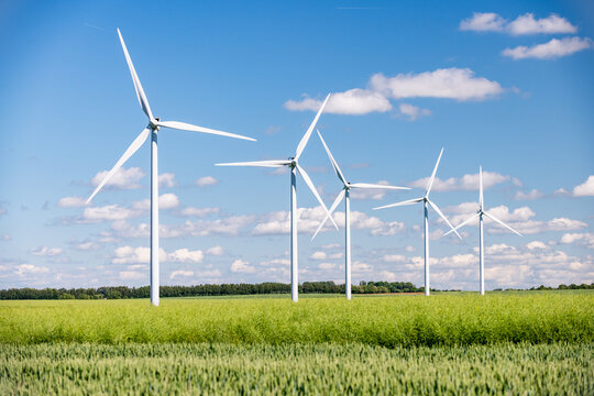Parc &eacute;olien constitu&eacute; de 5 &eacute;oliennes. Champ de colza