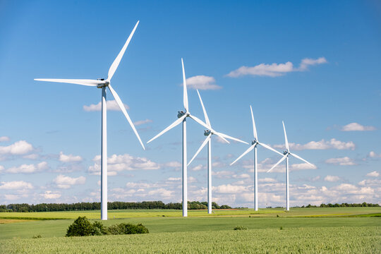 Parc &eacute;olien constitu&eacute; de 5 &eacute;oliennes. Champ de bl&eacute;