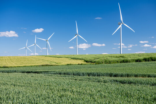 Parc &eacute;olien constitu&eacute; de  5 &eacute;oliennes. Champ de bl&eacute;