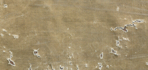 old military canvas background and texture