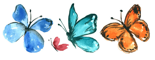 Butterflies. Set of hand painted watercolor clipart for design isolated on white.