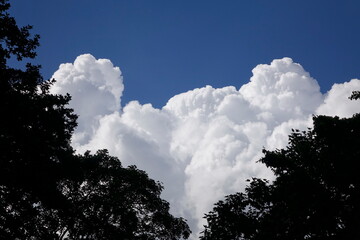 Wolken im Norden, Quellwolken