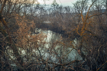 spring has come to nature