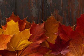 Autumn leaves on rustic wooden background. Flat lay, top view, copy space. Autumn concept.