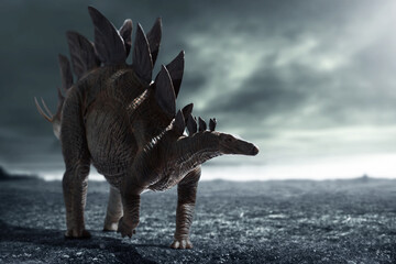 Dinosaur 3d rendering, Stegosaurus on top mountain © fotokitas