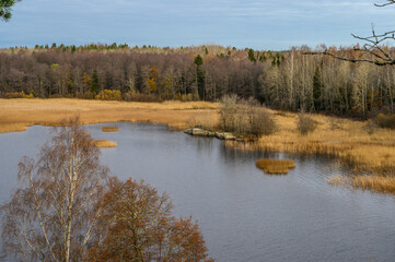 Beautiful panoramic views of the bay. Autumn day. Straw grass. Trees and Bay. Protective Bay. Gulf of Finland. Vyborg.