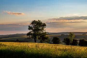 Evening light over the rolling Sussex countryside
