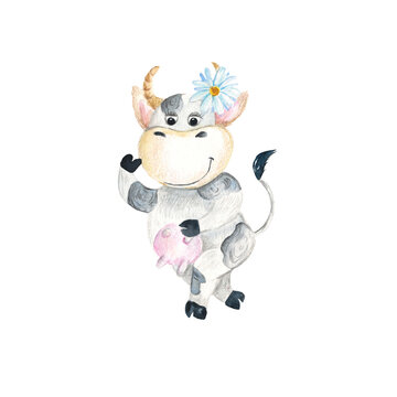 Cute baby cow with camomile isolated on white background. Watercolor hand drawn illustration.