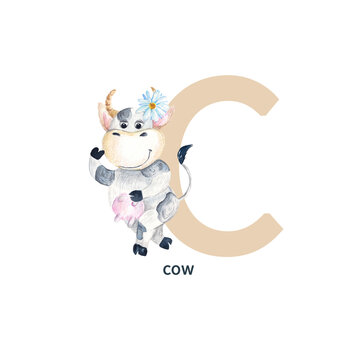 Letter C, cow, cute kids colorful animals ABC alphabet. Watercolor illustration isolated on white background.