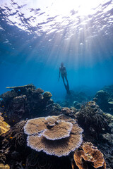 swimming freediving to coral reefs; Surin Island in Phangnga; Thailand.