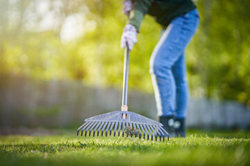 Picture of grass rake in the garden