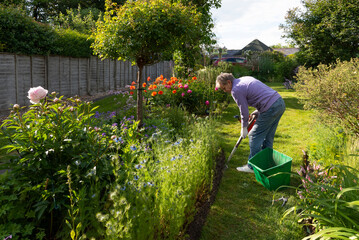 Hampshire, England, UK. 2022.  Woman preparing the ground  ready for new summer flowering plants in...