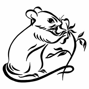 Cute small mouse sniffing a beautiful  flower. Black and white line drawing. calligraphy image.