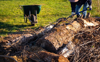 A person with the obscured face using a shovel to add soil to a Hugel Kulture raised no-dig...