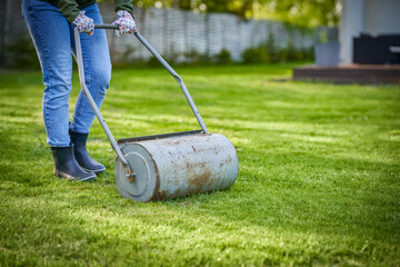 Woman working with lawn roller in the garden