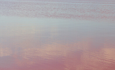 Pink salt lake. Lake Sivash, known since antiquity for its useful, healing properties.