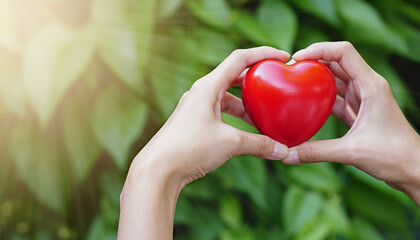 Obraz na płótnie Canvas Woman hand holding red heart shape on green natural background in the garden outdoor. Love Valentine’s Day healthy Insurance.