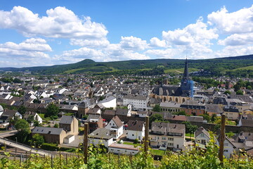 Die Stadt Ahrweiler im Ahrtal vom Weinberg aus, Stadtansicht bei Sonne