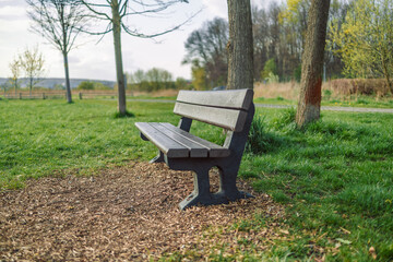 Bench in a beautiful summer park