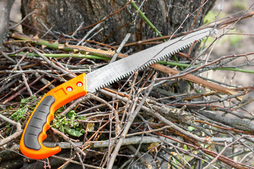 Trimming dry wood. A bunch of dry branches.