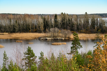 Autumn day. Straw grass. Trees and Bay. Gulf of Finland. Vyborg.