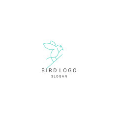 Bird logo icon design vector 
