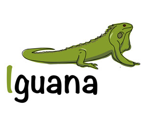 Portuguese alphabet with iguana picture. Translation from Portuguese: iguana. Vector doodle hand drawn illustration