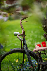 Fototapeta na wymiar Old rusty bike as a decoration in the garden