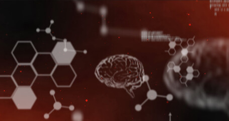 Image of data processing over digital brains on red background